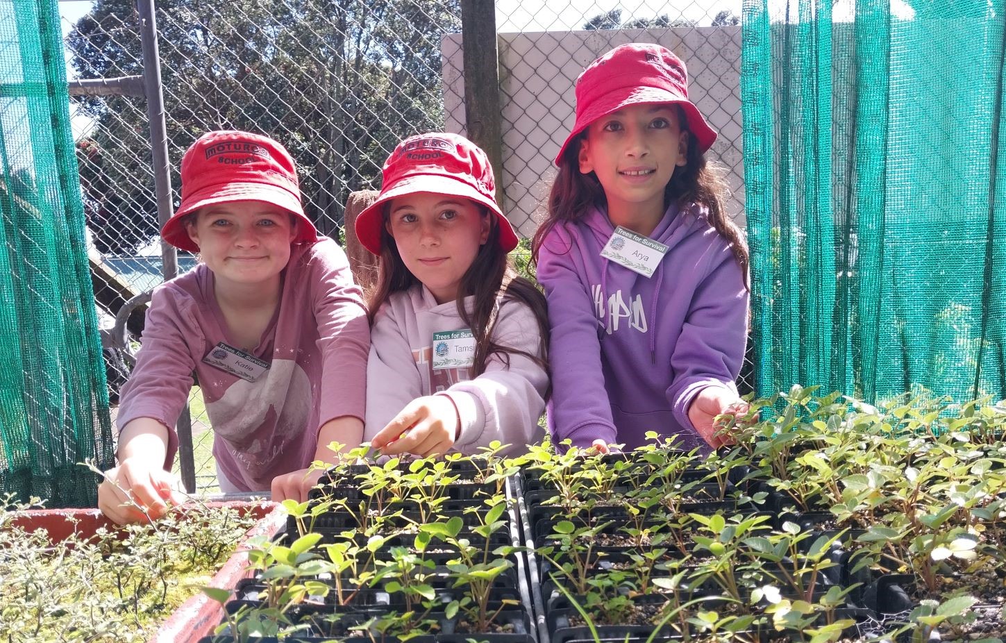 Port support helps planting programme grow | Port Taranaki